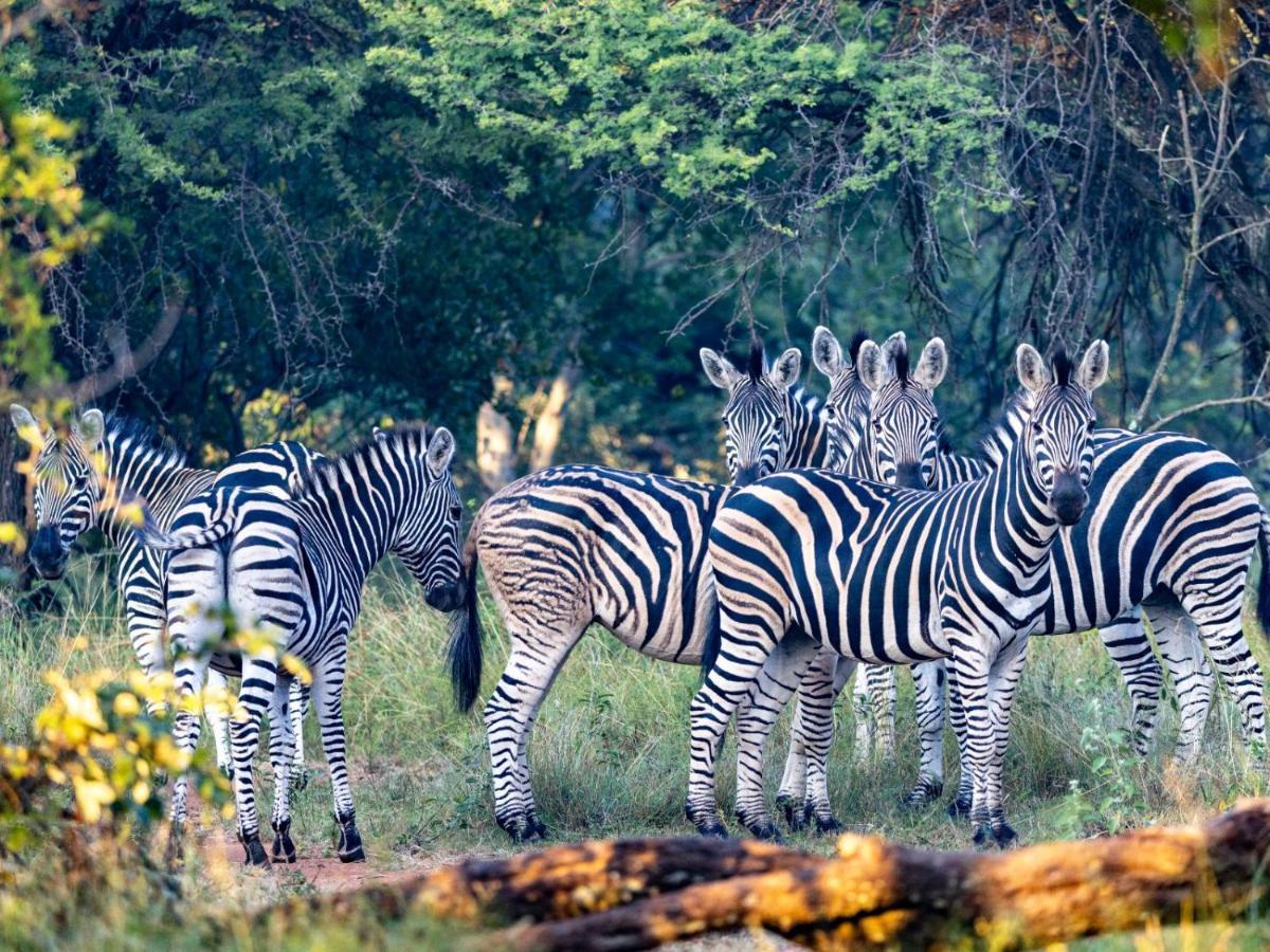Sable Ranch Bush Lodge Brits Esterno foto