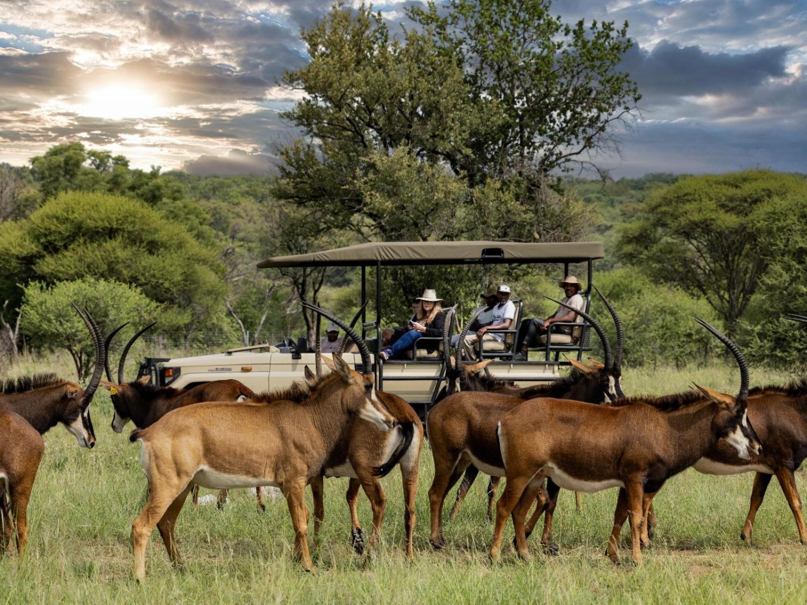 Sable Ranch Bush Lodge Brits Esterno foto